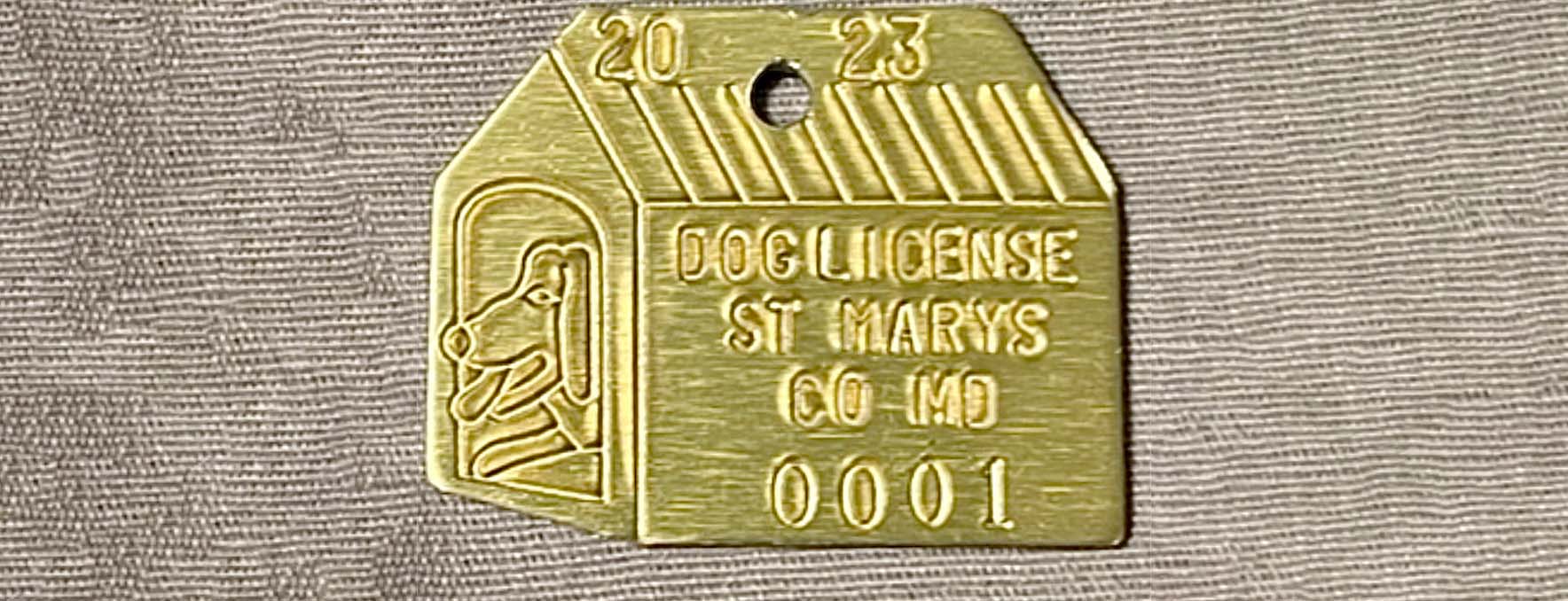 A St. Mary's County dog license tag. Made of metal (brass color) and in the shape of a dog house, the year and the license number are engraved in it.