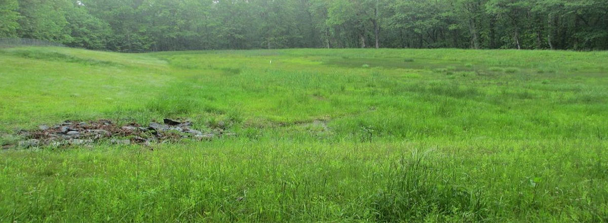A picture of a grass field